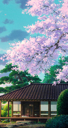 土人123采集到场景