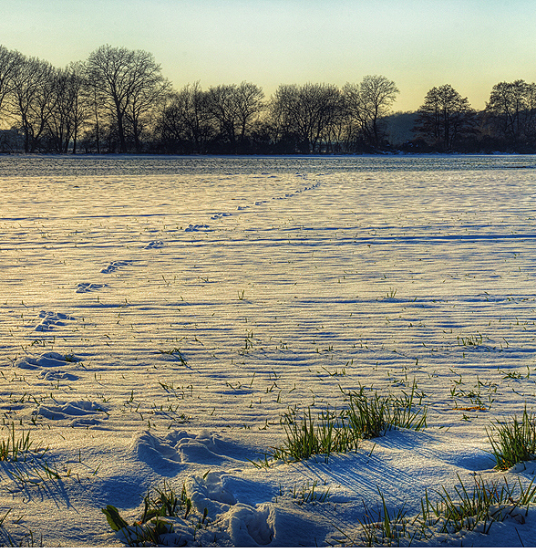 意境# #雪景#1喜歡冰雪童話灬鈴蘭灬同採自500px.