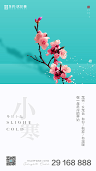 sasakie采集到节日