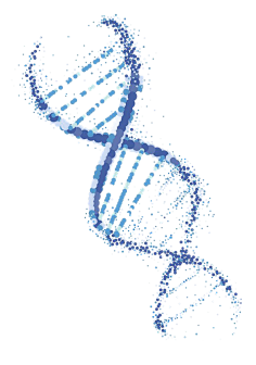 抽象点线面 花瓣网 陪你做生活的设计师 Dna