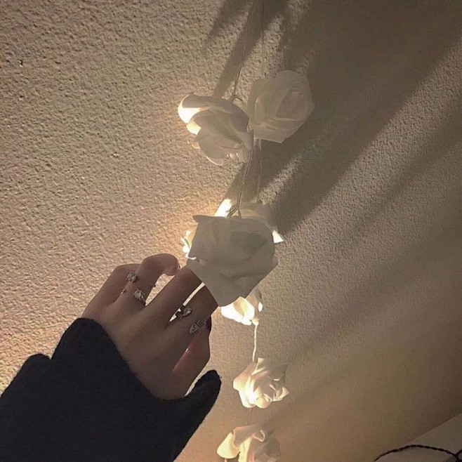 墨茨收集手控真人头像部位