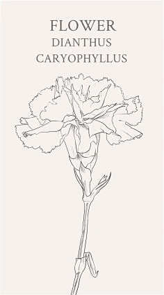 一只受伤的设计采集到插画