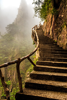 酱酱酱糖采集到风景