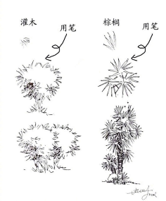 朵境采集到X 绘画原理