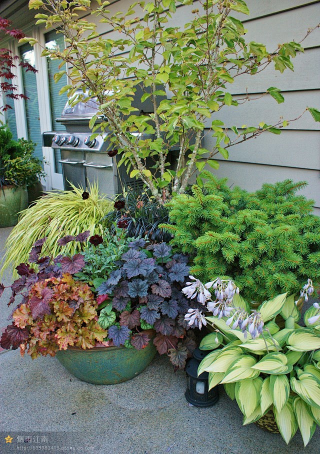 花园里的植物怎么搭配才漂亮花园里的植物怎么搭配才漂亮参考一下小编