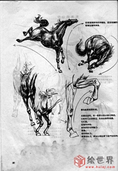 小学生阿童采集到骑兵