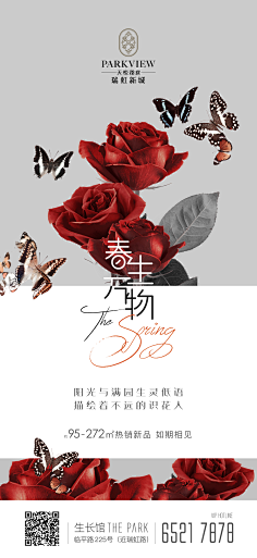 兿术临風采集到系列稿