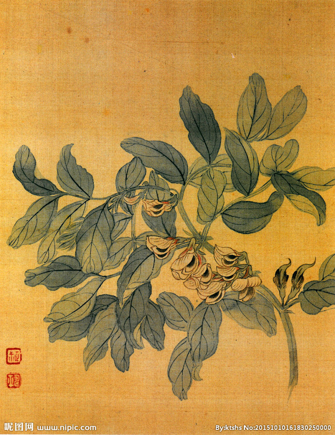 恽寿平蚕豆花图页