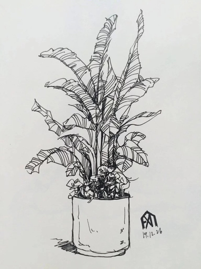 植物盆栽速写图片展示植物盆栽速写图片下载360图片