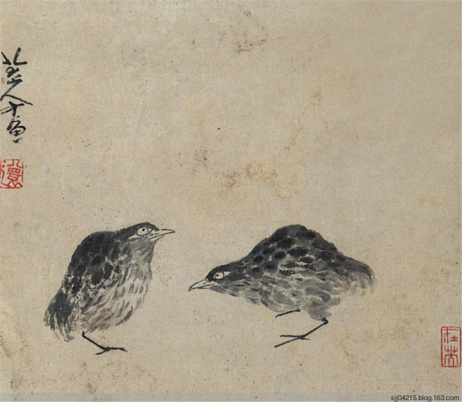 朱耷八大山人鹌鹑花鸟一帧欣赏