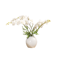 ZHANGWEICAI采集到花草树木