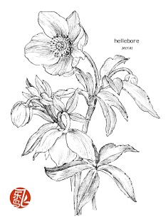 飞乐鸟采集到飞乐鸟插画篇
