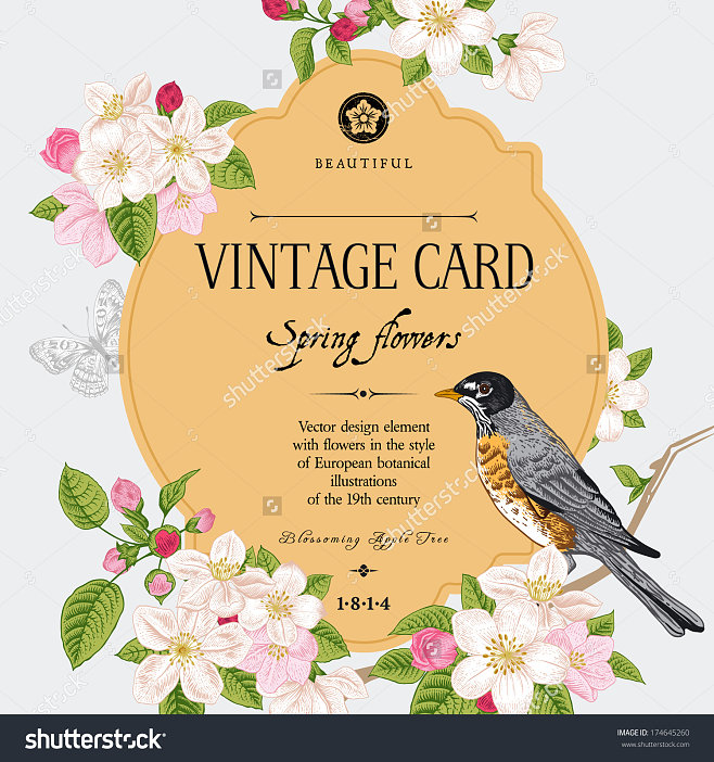 优雅向量的卡片,开花苹果树枝和鸟。19世纪欧