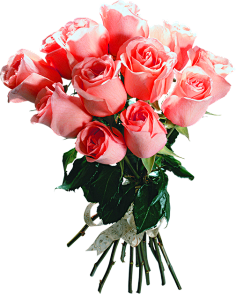 花束 Png 花瓣网 陪你做生活的设计师 花朵素材