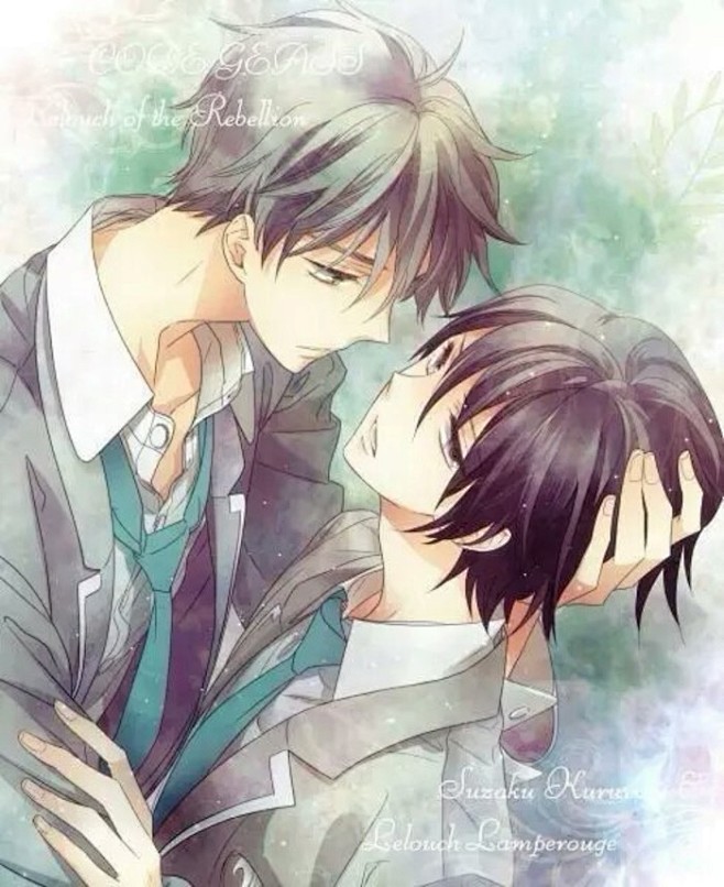 花瓣,陪你做生活的设计师