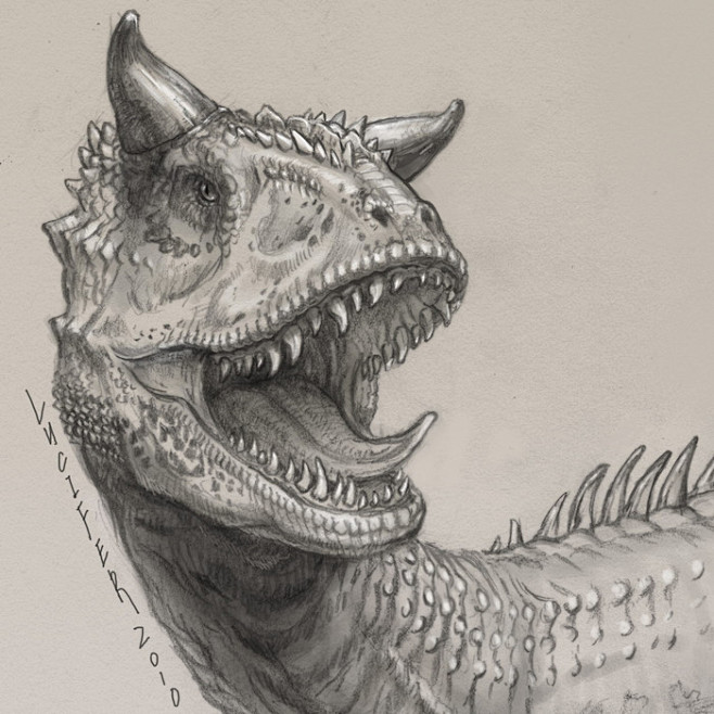 食肉牛龙线稿局部