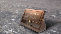 Rvivo采集到导视