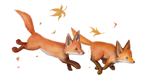 狐狸奔跑明素材免扣png 两秒视觉