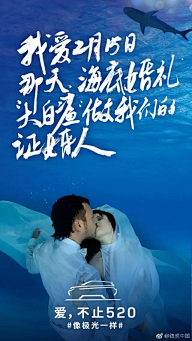 果肉肉灬采集到平面_海报