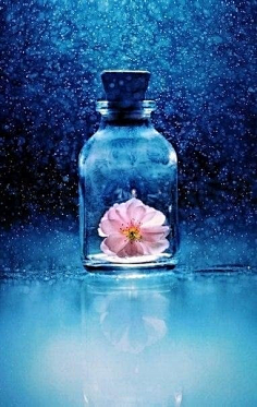 ᘛི迷ᘚྀ采集到ণ花ᘙ¹