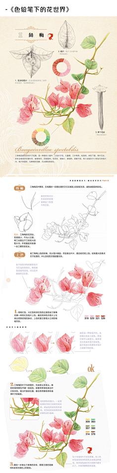 朵境采集到X 插画