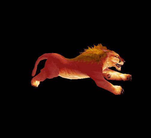 504_460gif 动态图 动图