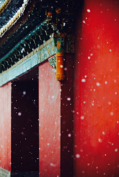 像橘子的太阳采集到一红 一国