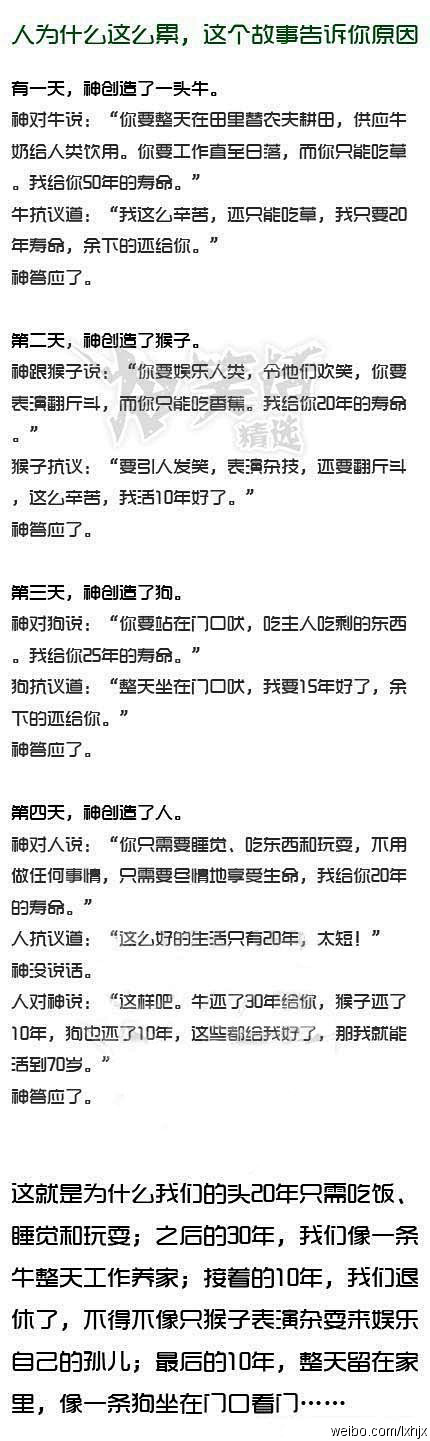 测试达人V采集到神叨叨