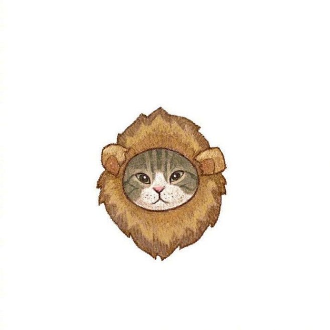 手绘q版猫咪头像 (ins:ins:li.