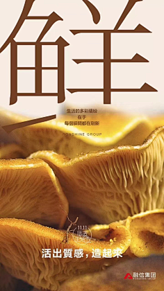-格林尼治-采集到餐饮 美食
