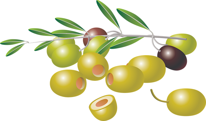 olive png