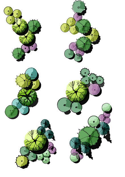 植物配置平面图例高清版可抠图psd上传了3张照片到微相册o网页链接