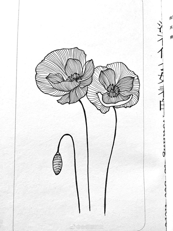 近期线条手绘小集作者会画画的云6767676767