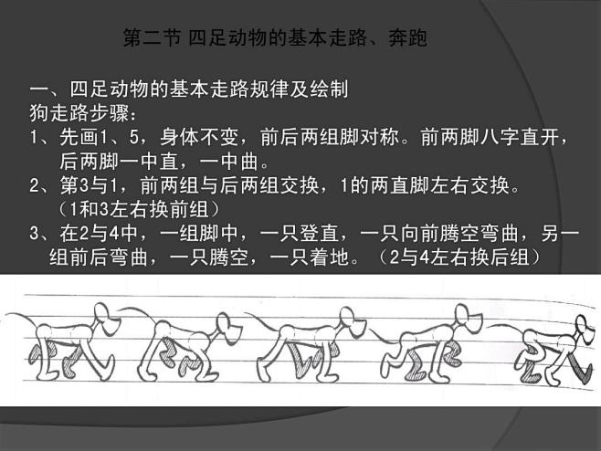 动画运动规律动物