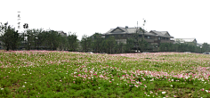 flora小六采集到无锡禅意小镇拈花湾