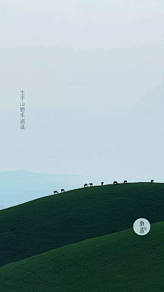wangxuecheng采集到摄影