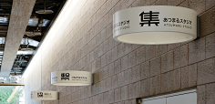 gg99i采集到导视