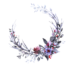 我爱学习zz采集到手绘水彩花环PNG