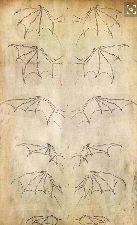 龙的翅膀怎么画 神龙图片