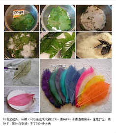 majyo采集到手工
