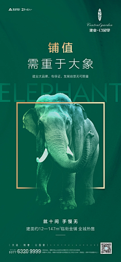 DH-ZHANG采集到海报/创作