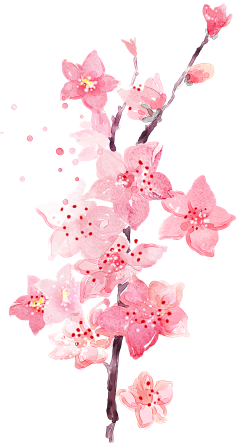 paddy_lee采集到那些花儿