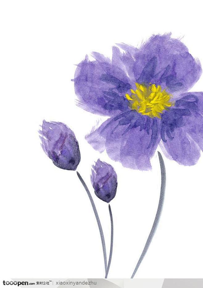 手绘水彩花朵花纹 紫色花图片素材下载 现在加入素材公社即可参与传素材送现金活动