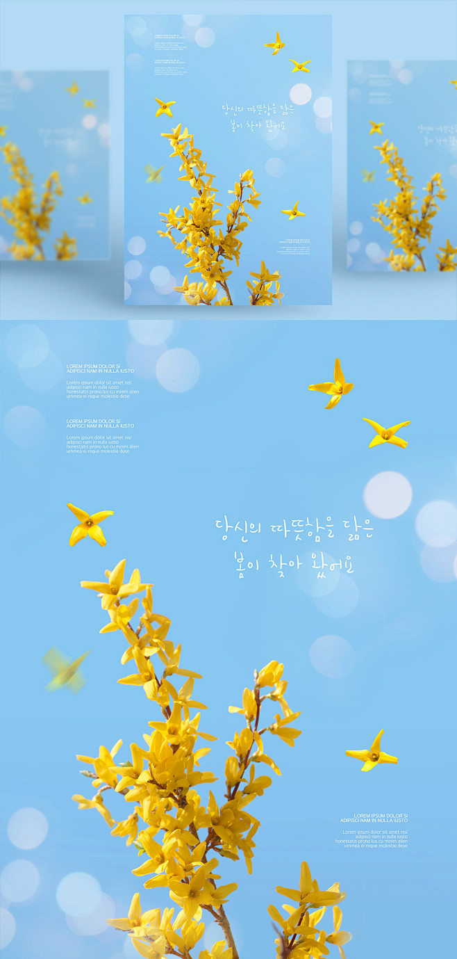 春天的气息迎春花psd海报模板springpostertemplatecm18010339
