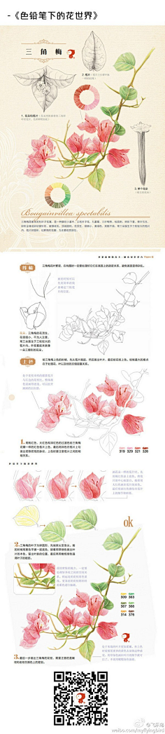 瑾喻采集到彩铅教程(静物)