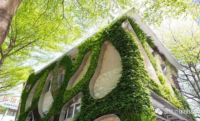 100多张垂直绿化设计实景图100多张创意垂直绿化设计实景图肯定有你