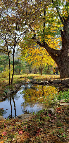 akong采集到旅游