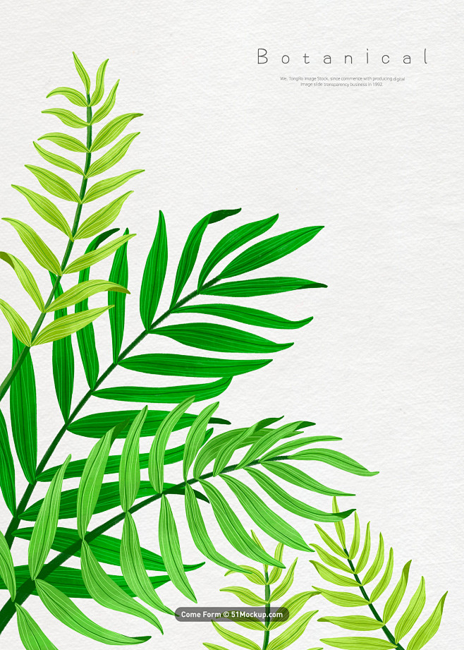 热带植物绿色细长叶子水彩手绘插画psd平面设计绘画插图