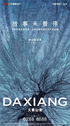 3mDSC_猫巷鱼未归采集到房地产