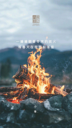 棉大花儿采集到汤臣一品合集